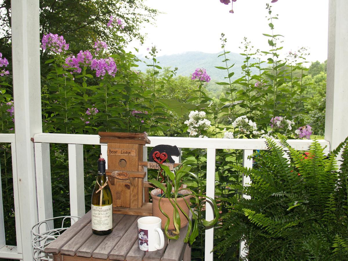 Henson Cove Place Bed And Breakfast W/Cabin Hiawassee Bagian luar foto